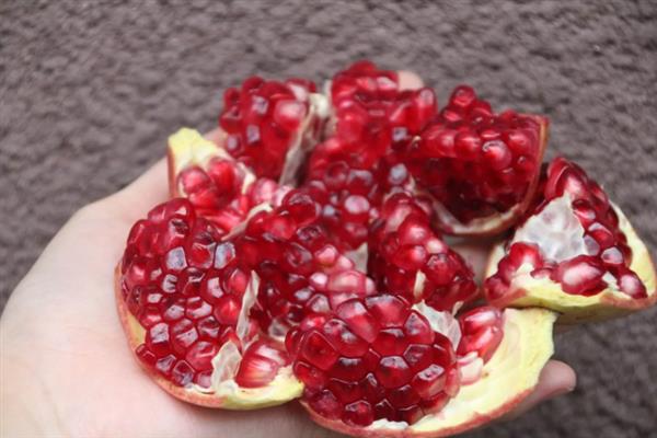 软籽石榴的特点，可食率和含糖量高、口感甘甜