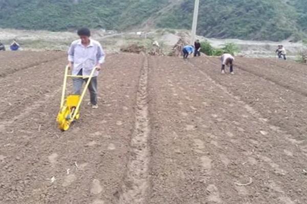 葫芦怎么种植，主蔓长到0.5米时要浇水追肥