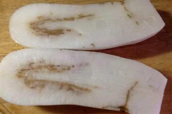 萝卜为什么会黑心，主要是缺氧、缺硼、发生黑腐病导致