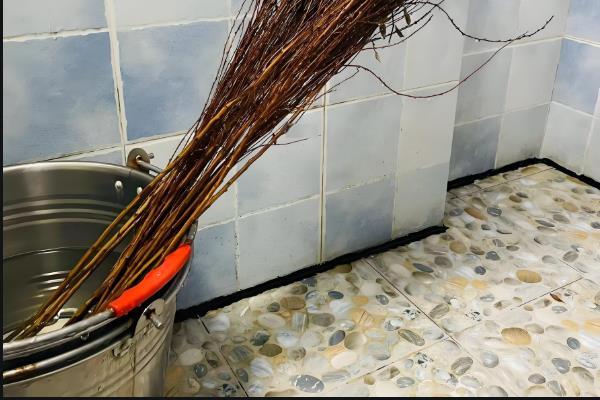 干枝雪柳有什么花语，代表殊胜、稀有和优秀