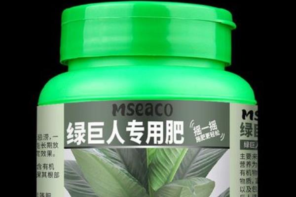盆栽绿巨人怎么养，每月施一次液肥或有机氮肥