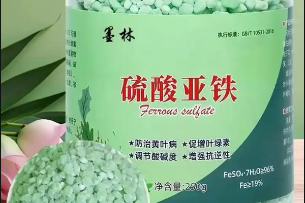 常见的铁肥有哪些，有硫酸亚铁、螯合铁等