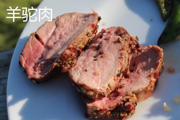 羊驼的养殖用途，肉质可食用、皮毛可制成衣物和工艺品
