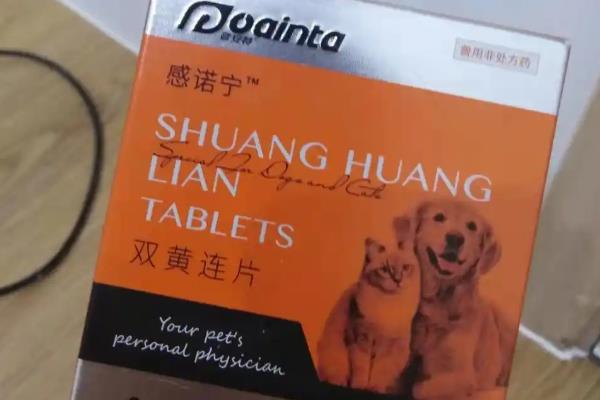 狗是不是感冒了怎么判断，可检查鼻腔是否有浓浆性液体