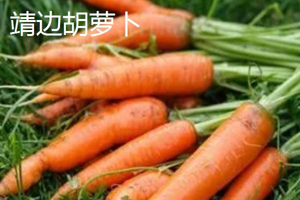 陕西靖边县的特产，靖边马铃薯符合无公害甚至绿色食品标准