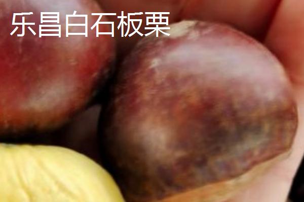 广东乐昌市的特产，北乡马蹄闻名省、港、澳市场