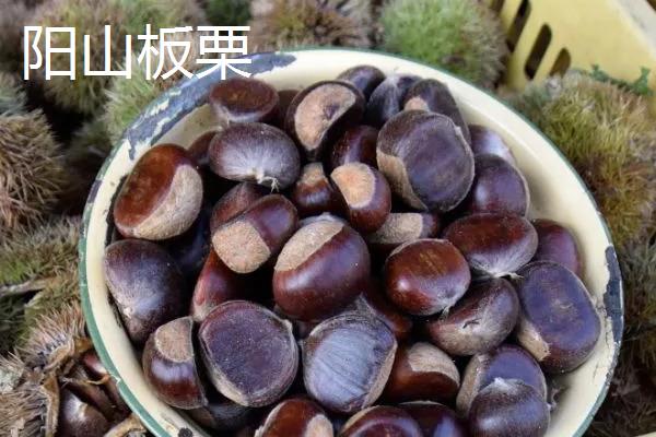 广东阳山县的特产，洞冠梨是当地特有的珍果