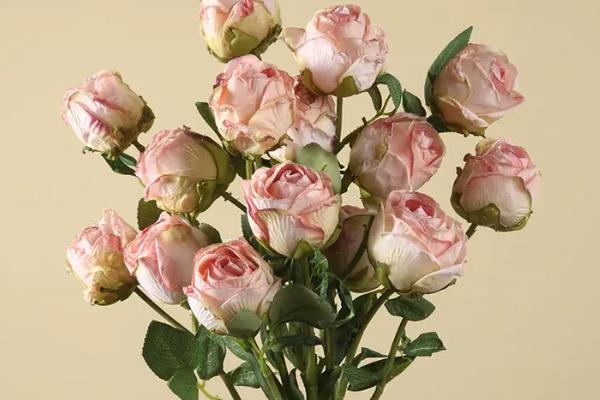 21朵玫瑰的花语，不同颜色的玫瑰花语不同