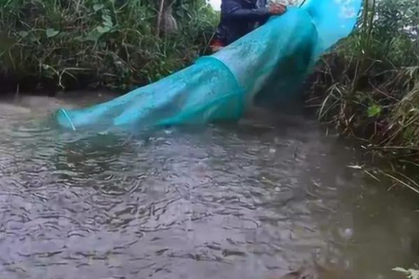 地笼放深水还是浅水合适，通常会放置在浅水区域