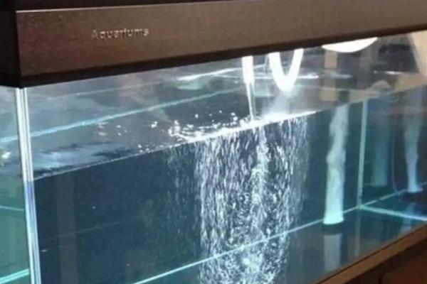 浮法玻璃鱼缸和超白哪个好，二者都非常适合作为鱼缸的材质