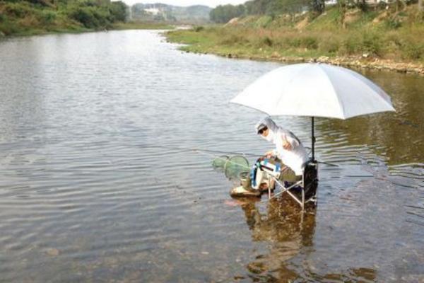 如何在浅水中钓鱼，打窝后可以采取逗钓法