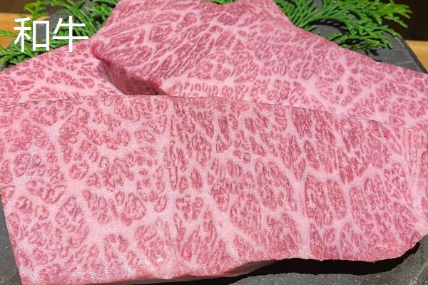 和牛和普通牛肉的区别，口感和肉质等均不同