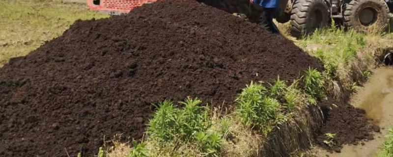稻田施用有机肥的优点，能起到改善土壤、提供充足养分、促进微生物繁衍等作用