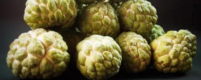 释迦果的食用方法，可直接食用或榨汁