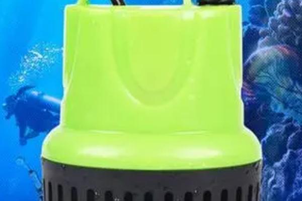 清洗鱼缸的水泵后为何不能抽水，主要原因是漏气