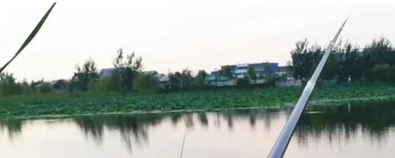 1.5的线组能钓多大的鱼，可以钓3-6斤重的鱼