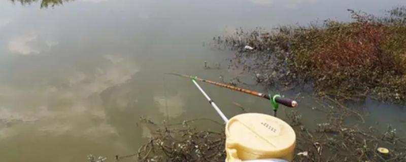 初春钓鲫鱼用什么鱼漂，一般选择纳米材质的细长身鱼漂