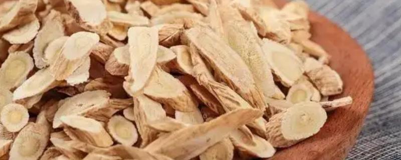 北芪与黄芪有什么区别，在药效上考虑不会有太大区别