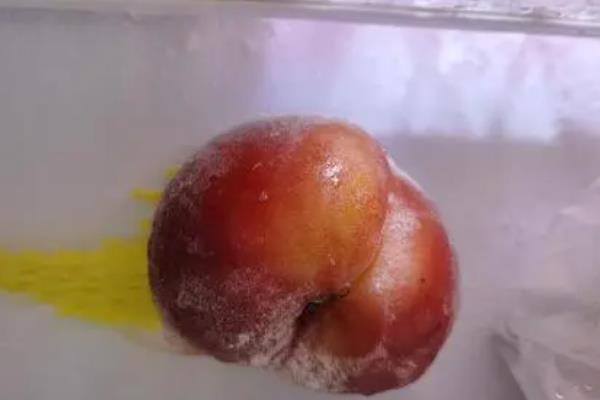 蔬菜存放的最佳温度，食用菌类适宜放在0℃左右的环境中保存