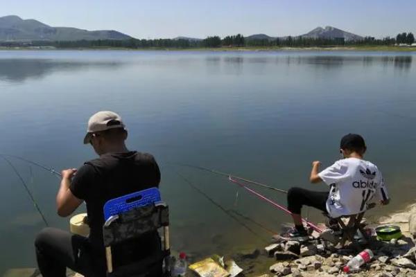 淡水鱼能不能钓，草鱼、鲫鱼、罗非鱼等品种均可作为垂钓对象