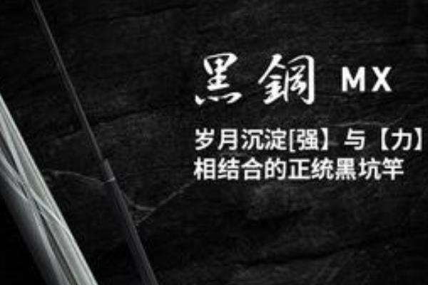战斗竿品牌推荐，以下10个品牌值得考虑