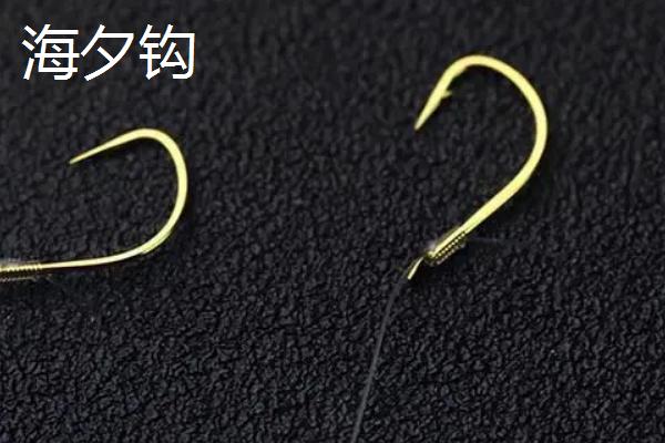钓鲤鱼用什么鱼钩，可选择伊势尼钩、伊豆钩等