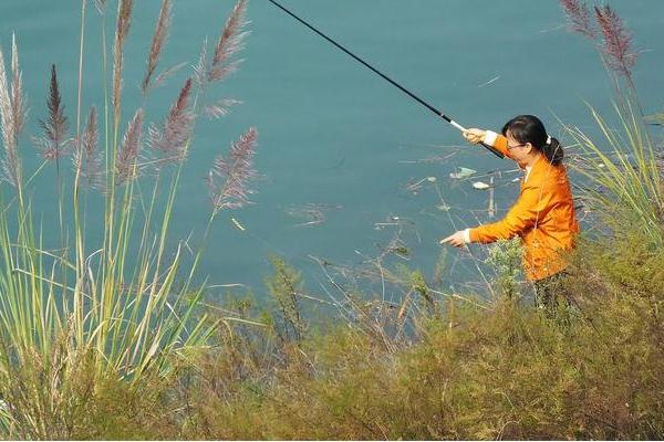 钓鲤鱼用什么鱼钩，可选择伊势尼钩、伊豆钩等