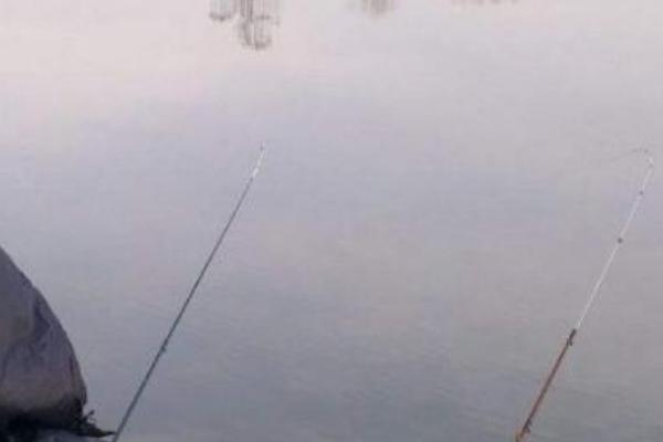 钓鲤鱼用什么鱼钩，可选择伊势尼钩、伊豆钩等
