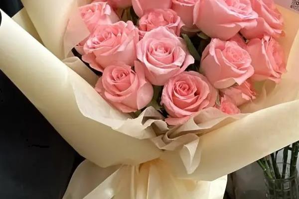 哪些花卉适合送给医生，百合、康乃馨、向日葵等品种均可赠送