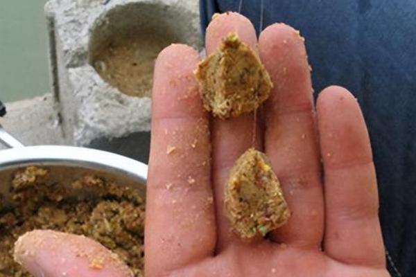 秋季钓大鲫鱼的饵料，可选择自然饵料或商品饵料