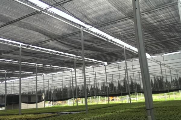 棚室内湿度降低方式，应选用无滴膜并喷涂除滴剂等