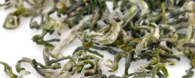 哪个地方产的碧螺春好，江苏省洞庭碧螺春最好