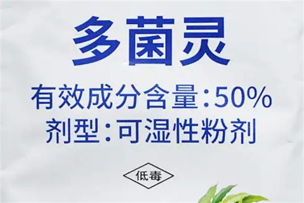 怎么修剪圆锥绣球，在北方地区3月初修剪为宜