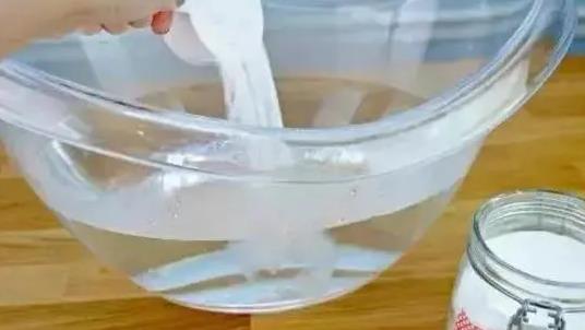 叶莲的养殖方法，确保其每天有4小时左右的光照