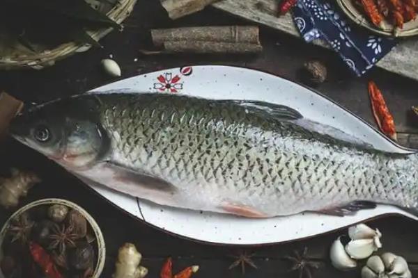 白眼鱼是不是海鱼,白眼鱼是海鱼