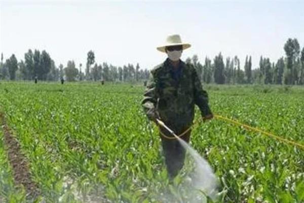 怎么管理大豆可以提高产量，初花期可亩施5-10公斤尿素