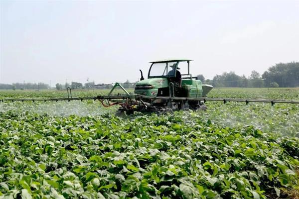 怎么管理大豆可以提高产量，初花期可亩施5-10公斤尿素