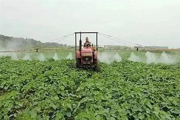 怎么管理大豆可以提高产量，初花期可亩施5-10公斤尿素