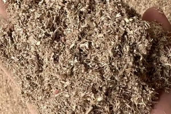 鸽子粪如何发酵成花肥,鸽子粪上覆盖上树叶和水进行发酵