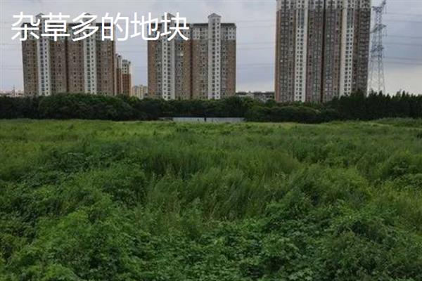 哪些地方不适合种花生，沙土地、贫瘠土地等地块不宜种植