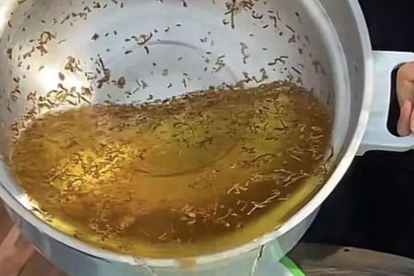 花里有小飞虫如何处理，喷洒食醋水可驱除介壳虫等害虫