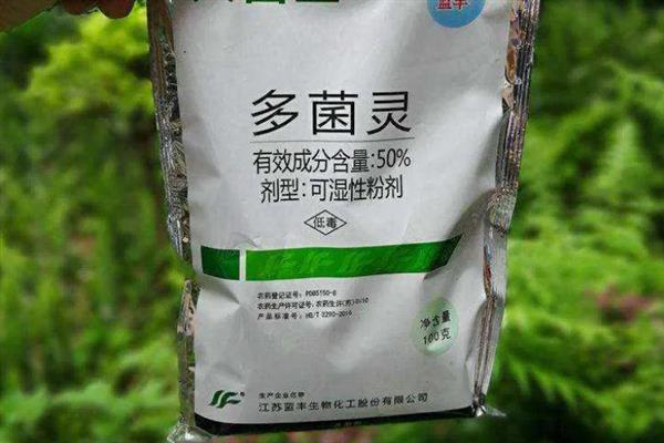 多菌灵可以治黑腐病吗，多菌灵可以治黑腐病