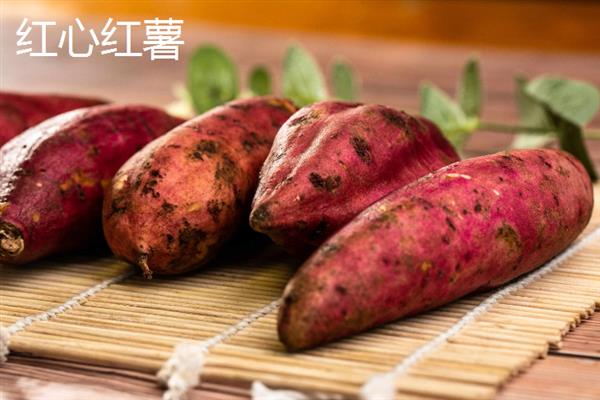 番薯和红薯有什么区别，属于同一品种只是叫法不同