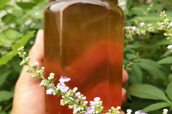 正宗蜂蜜的价格，一斤土蜂蜜需要100-300元左右