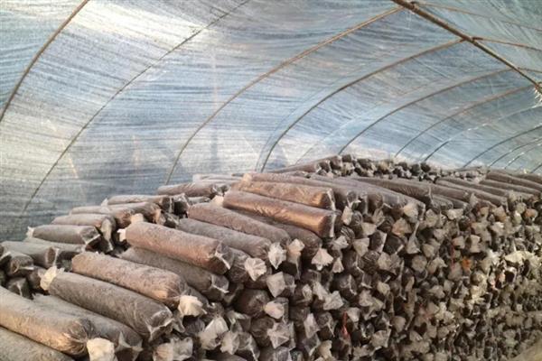 香菇如何简单种植，基土采用麦麸、腐叶土、木屑等