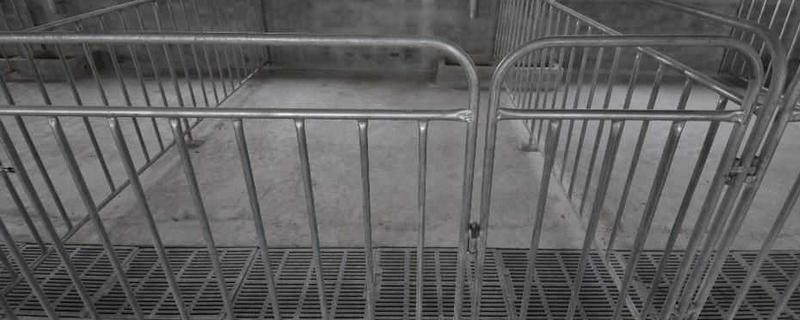放养猪所用的围栏是什么，常见的有半围墙半铁栅栏式围栏、水泥杆围栏等