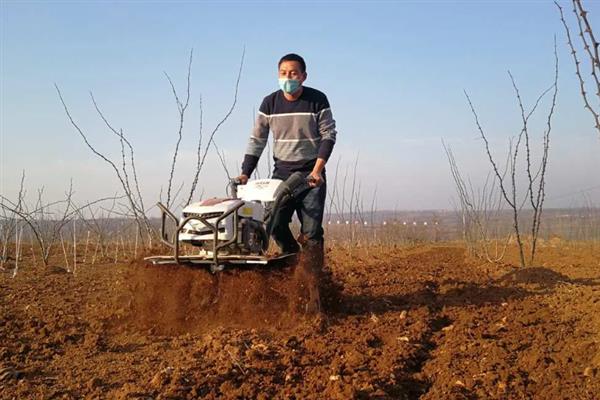 种植农作物需要松土的原因，可促进根部的呼吸和生长