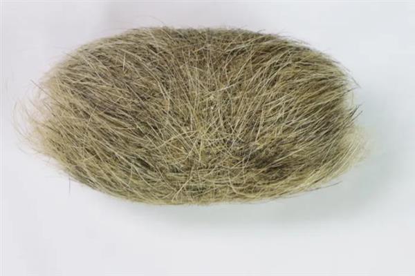 猪宝是什么,是指猪胆囊等器官中的结石