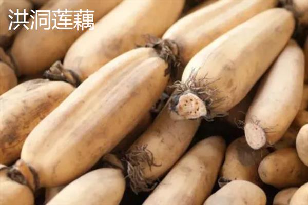 莲藕的产地有哪些，洪湖、新垦和襄陵的莲藕出名