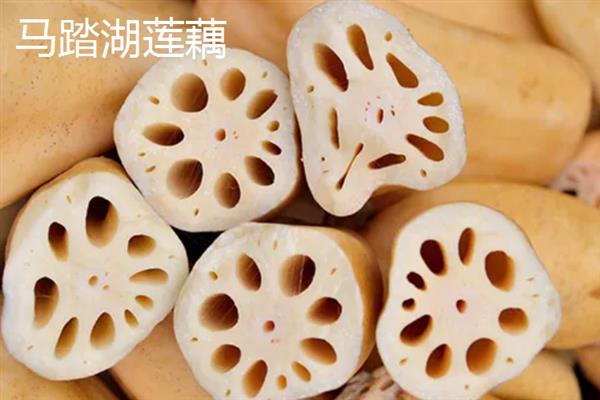莲藕的产地有哪些，洪湖、新垦和襄陵的莲藕出名